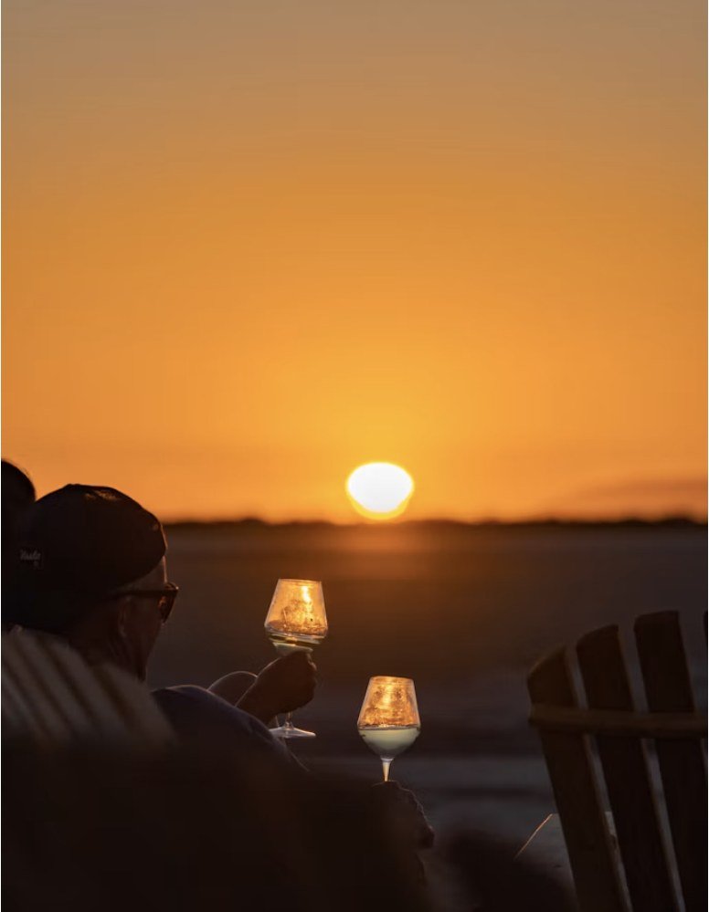 Silueta de una persona brindando con una copa de vino frente a la puesta de sol